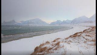 Snowy Beach scene HD 3 hours