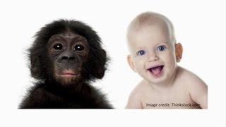 CARTA Origins of Genus Homo – Leslie Aiello Evolution of Human Life History Patterns