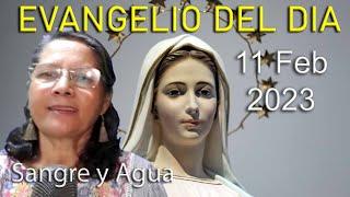 Evangelio Del Dia Hoy - Sabado 11 Febrero 2023- Sangre y Agua