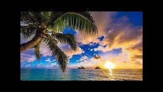 Happy UKULELE Music 10 Hours - Summer Ukulele Instrumental Background Cheerful Joyful and Upbeat