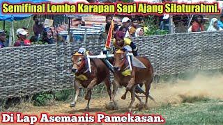 Semifinal Lomba Karapan Sapi Ajang Silaturahmi Di Lap Asemanis Pamekasan.