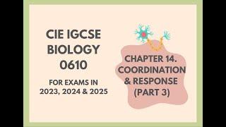 14. Coordination and responsePart 3Cambridge IGCSE Biology 0610 for exams in 2023 2024 and 2025