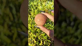  Peach Moonstone Sphere