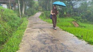 Seenak Ini Suasana Hujan Deras Di Kampung Saat Pagi Hari. Suasana Pedesaan Jawa Barat Garut Selatan