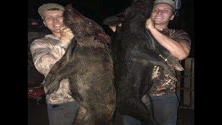 Hog Hunting in Florida Head Shots