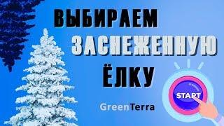 Artificial Christmas trees  Overview of the top 3 snowy Christmas trees from GreenTerra