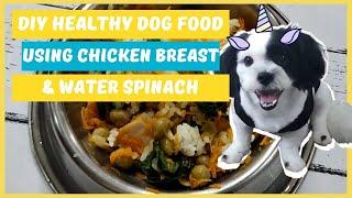 DIY HEALTHY DOG FOOD USING CHICKEN BREAST & WATER SPINACH KANGKONG