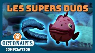 Octonauts -  Les supers duos   Compilation  Dessins animés pour enfants