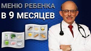 Как правильно составить меню ребенка в 9 месяцев - последние Европейские рекомендации ESPGHAN