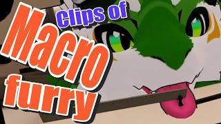 Macro furry community clips #2