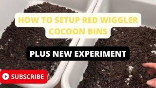 How to prepare Red Wiggler cocoons for hatching. #wormcomposting #wormfarm