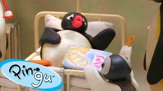 Pingu Has a Sore Tummy    Pingu - Official Channel  Cartoons For Kids