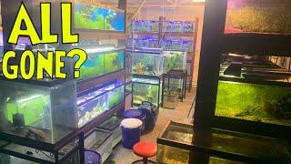 NO MORE FISH TANKS In My Garage Fish Room everything explained