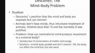 Development Neuropsychology hisory default