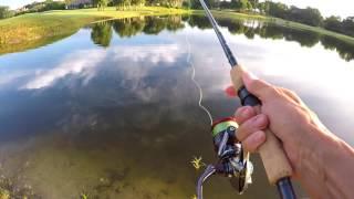 How Smooth Is The Shimano Stradic Ci4+? - 72917