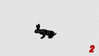 Rabbit Silhouettes Pack  Motion Graphics - Envato elements