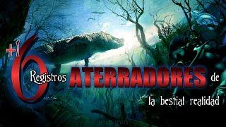 6 Videos ATERRADORES de la bestial realidad V3