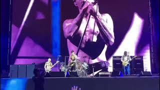 Red Hot Chili Peppers - Hard To Concentrate first time with Frusciante - Nijmegen 100622