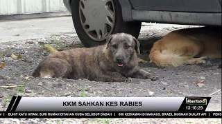 Mangsa Rabies Kena Gigit Anjing Di Negara Asalnya