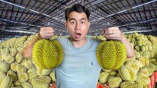 Borong RM20000 durian bagi free dengan orang awam