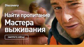 Найти пропитание  Мастера выживания  Discovery