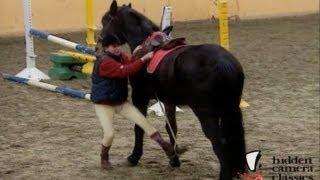 Mounting a Horse Prank