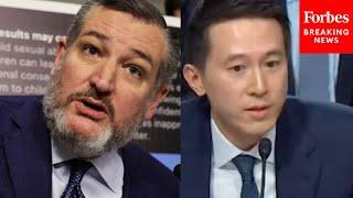 Ted Cruz Asks TikTok CEO Point Blank What Happened In Tiananmen Square? At Child Safety Hearing