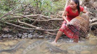 Survival in forest - Women catch big fish in river - Cooking fish with mango chili sauce for dinner