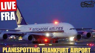 Live Late Night Planespotting Frankfurt Airport