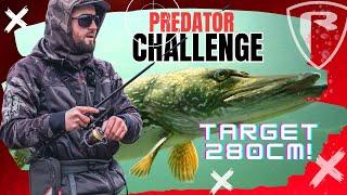 Predator Challenge 2  UNFINISHED BUSINESS  280cm of pike in one session  Pike on lures