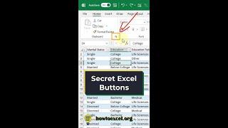 Do you know these SECRET buttons in Excel?