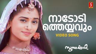 Nadodi Theyyavum Video Song  KJ Yesudas  Sujatha Mohan  Ouseppachan  Bichu Thirumala