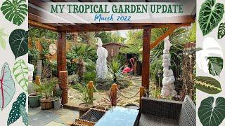 My UK Tropical Garden After Storm Eunice ️  Winter Update ️