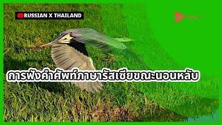 การฟังคำศัพท์ภาษารัสเซียขณะนอนหลับ  Golearn