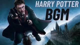 Harry Potter BGM  Harry Potter Background Music  Harry Potter Ringtone  Harry Potter Theme Music