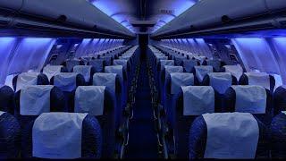 Airplane Cabin White Noise Jet Sounds  Great for Sleeping Studying Reading & Homework  10 Hours