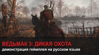 Ведьмак 3  Дикая Охота  — демонстрация геймплея на русском языке