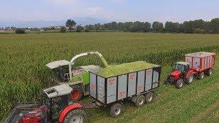 Mais Silage  CLAAS JAGUAR 850 + RU 450  X3 MASSEY FERGUSON 