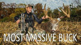 Most Massive Buck Ever Public Buck Nest  Chasing November S2E1