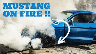 Mustang catches on fire HP society burnout2stepcarshow