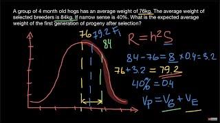 How to calculate Response to Selection