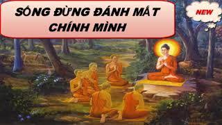 Sống Đừng Để Đánh Mất Chính Mình_Những Lời Phật Dạy RẤT HAY