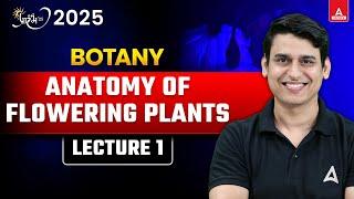 ANATOMY OF FLOWERING PLANTS CLASS 11  COMPLETE BIOLOGY REVISION  NEET2025 PREPARATION