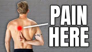 Mid Back Pain Exercises Thoracic Joints Rhomboids Ribs