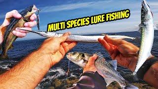 Multi Species Lure Fishing in Cornwall. How to catch Bass Pollack Mackerel & Needle Fish