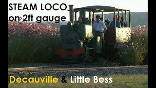 Steam Locomotives on narrow gauge Decauville & Little Bess UAS5