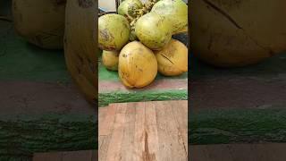 Amazing Coconut Peeling Skills  Coconut Cutting Skills  Fruit Cutting #cuttingskills #coconut