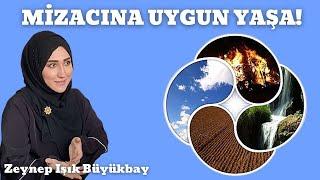 Hangi Mizaca Sahipsiniz?  Mizaç Türleri ve Mizaca Uygun Yaşamak  Zeynep Işık Büyükbay