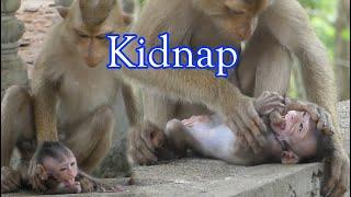 What a help Monkey Baby kidnaps and abuses baby