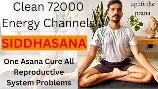 Clean 72000 Nadies With Siddhasana  How To Do Siddhasana  Yoga For Reproductive System